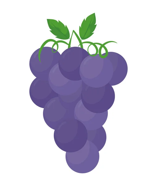 Purple Grapes Design White — 图库矢量图片