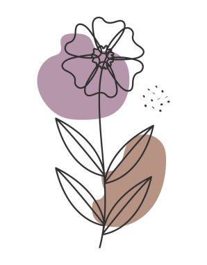 Renk baloncukları üzerine botanik bitki çizimi