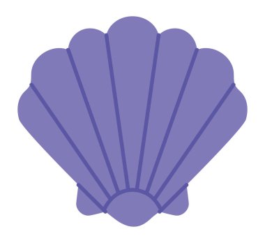 purple conch shell over white