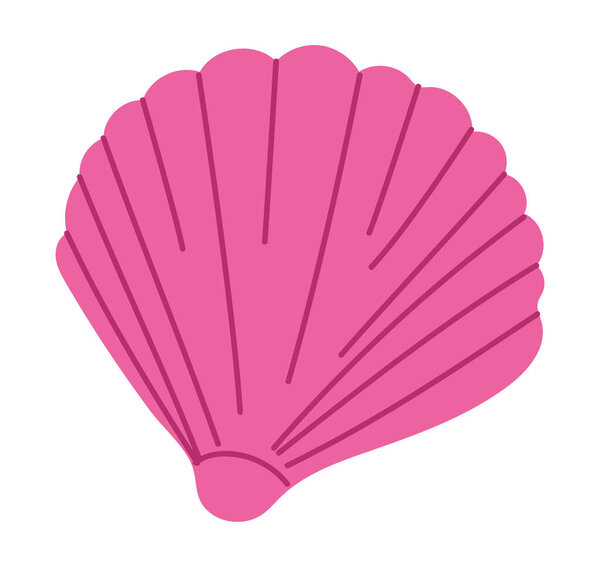 pink conch shell over white