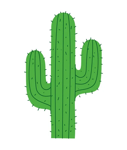 Zelený Kaktusový Design Nad Bílou — Stockový vektor