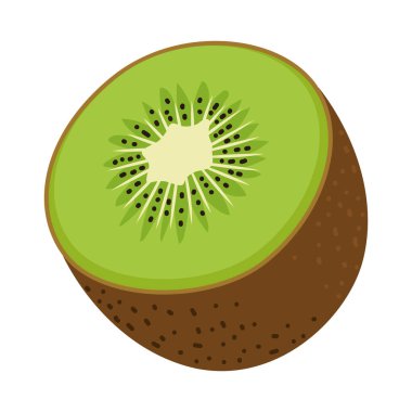 kiwi fruit design over white