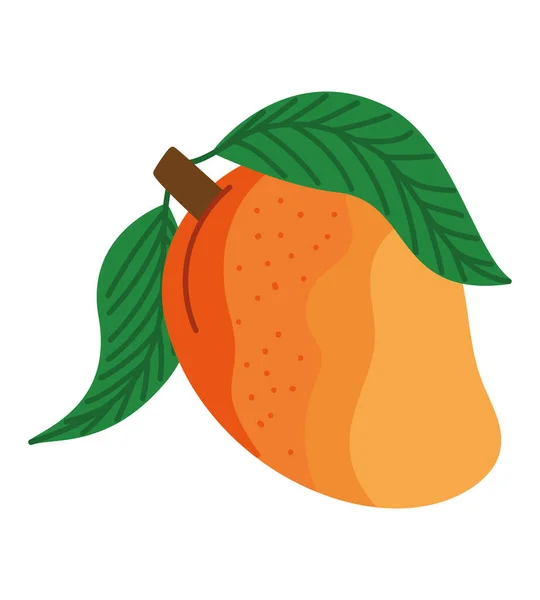 Mango Fruit Design White — Vector de stock