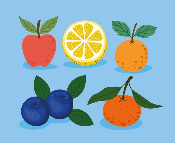 Poster Five Fruits Set — Archivo Imágenes Vectoriales