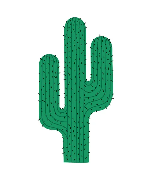 Cactus Avec Épines Sur Blanc — Image vectorielle