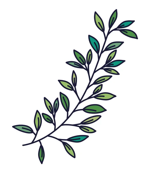 Long Olive Branch White — Image vectorielle