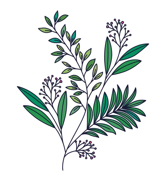 Olive Branch Illustration White — Stock vektor