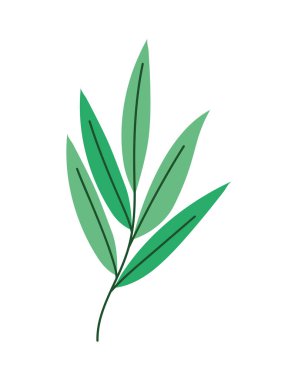 colored branch tree over white