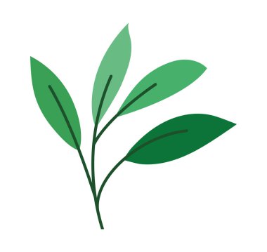 branch tree image over white