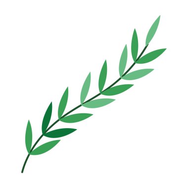 branch tree illustration over white