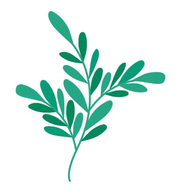 tree branch illustration over white