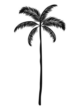 black palm silhouette over white