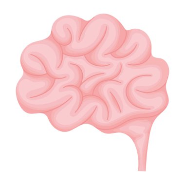 colored brain illustration over white