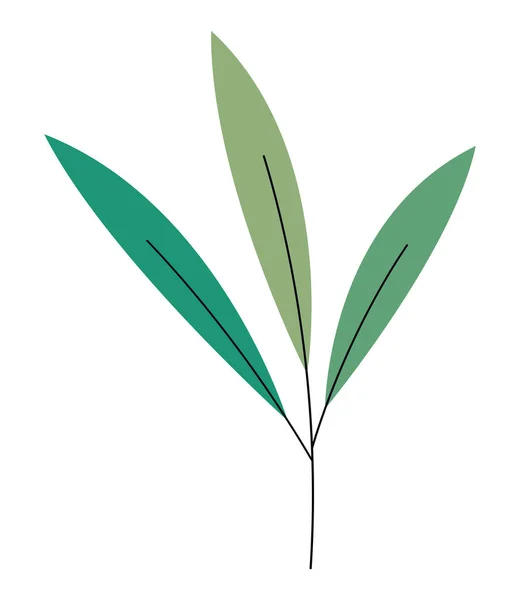 Leaves Branch White — 图库矢量图片