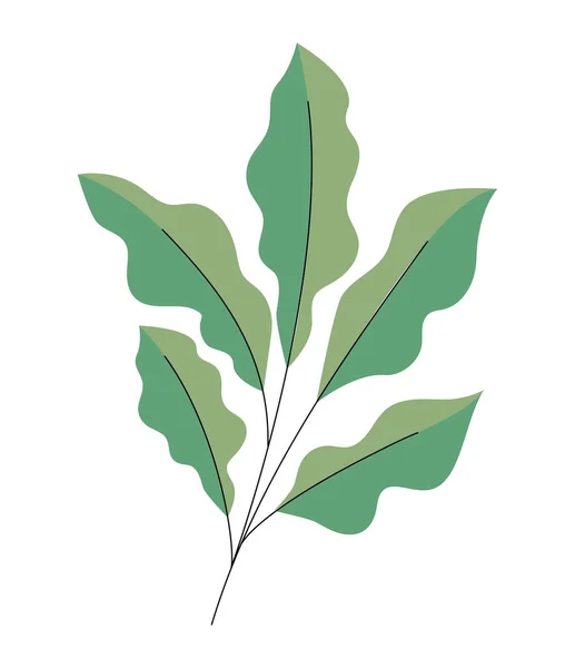 叶覆白的分枝 — 图库矢量图片
