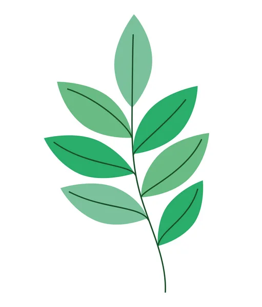 Green Branch Tree White — 图库矢量图片