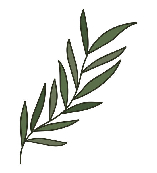 long leaves branch over white