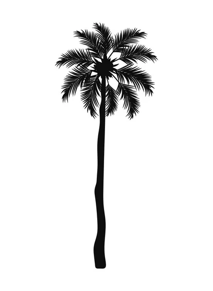 Palm Silhouette Design White — Image vectorielle