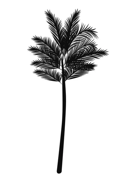 Palm Silhouette Illustration White — стоковый вектор