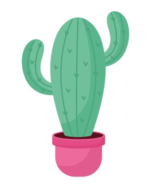 cactus on pink pot over white