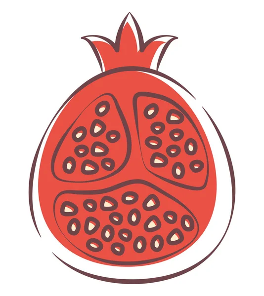 Pomegranate Fruit Tropical Icon Isolated —  Vetores de Stock
