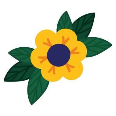 Beyaz yapraklı sarı çiçek