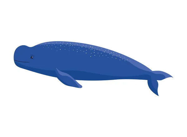 Beluga Whale Design White —  Vetores de Stock