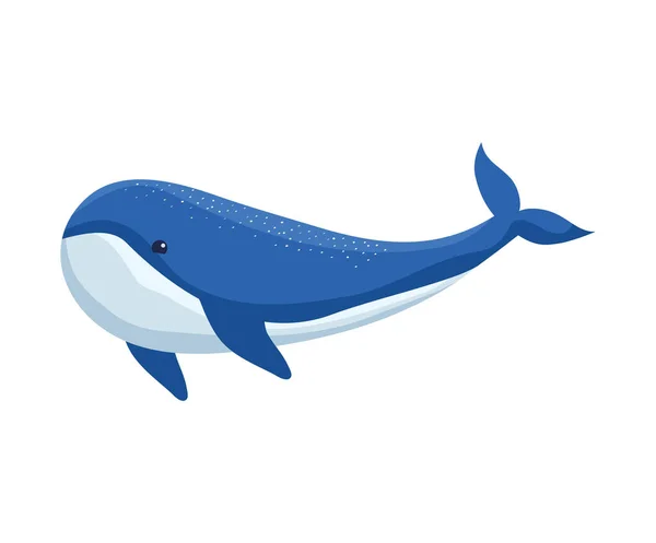 Cute Blue Whale White — Stok Vektör