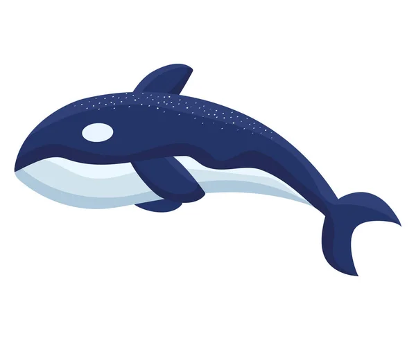 Killer Whale Illustration White — Stockvektor