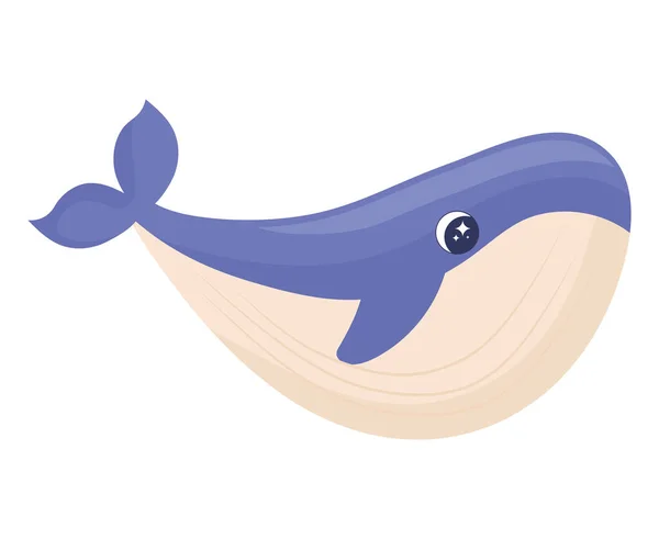 Cute Whale Design White — Vetor de Stock