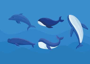 poster of colored whales bundle