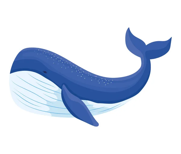Big Blue Whale White — Vettoriale Stock