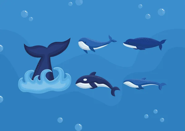 Poster Colored Whales Set — Vetor de Stock
