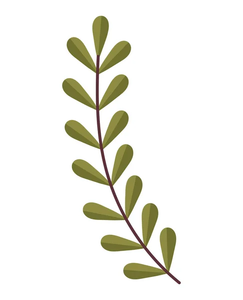 Green Leaves Branch Plants — Vettoriale Stock