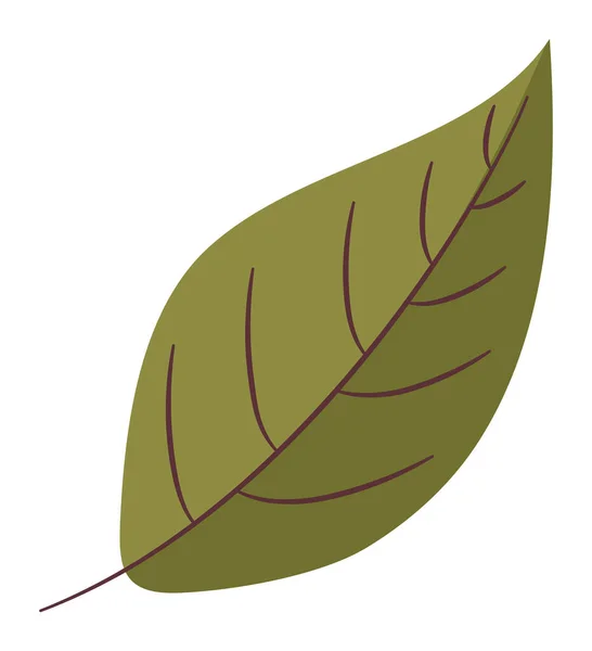 Green Leaf Illustration Plants — ストックベクタ