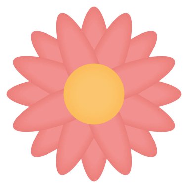 opened pink flower over white