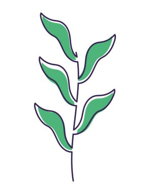 one line branch over white