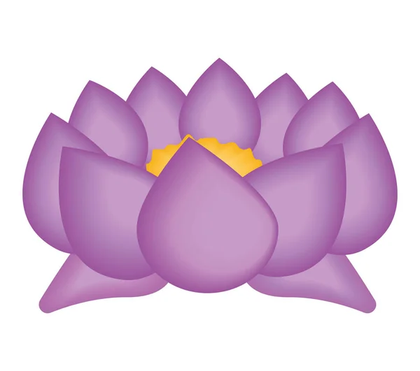 purple lotus flower over white