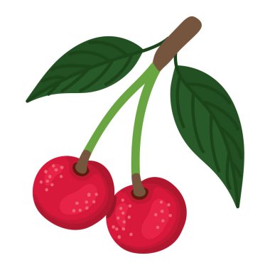 cherry fruit design over white