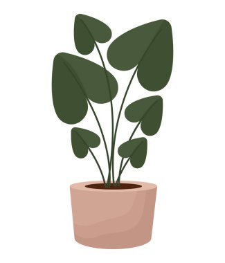 Beyaz üzerine renkli çiçek saksısı tasarımı