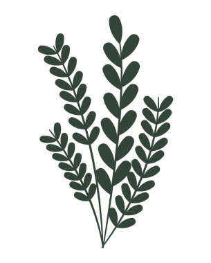 bitki dalları beyaz üzerine dizayn edilir