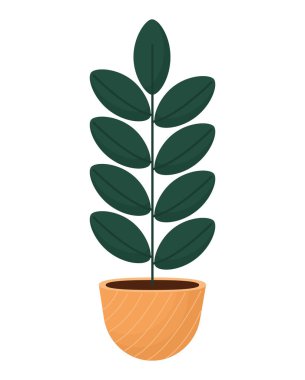 Güzel çiçek saksısı izole edilmiş ikon