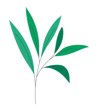 yeşil yapraklar beyaz üzerine bitki