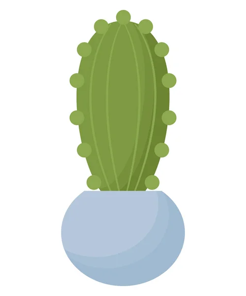 Kleurrijke Cactus Boven Wit — Stockvector