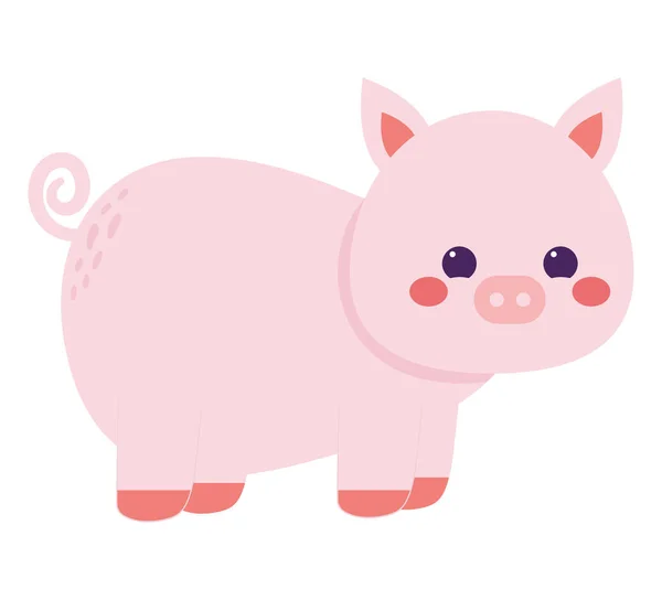 可爱的色彩斑斓的猪 — 图库矢量图片