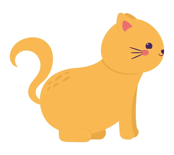 Roztomilý Barevný Kočka Přes Bílou — Stockový vektor