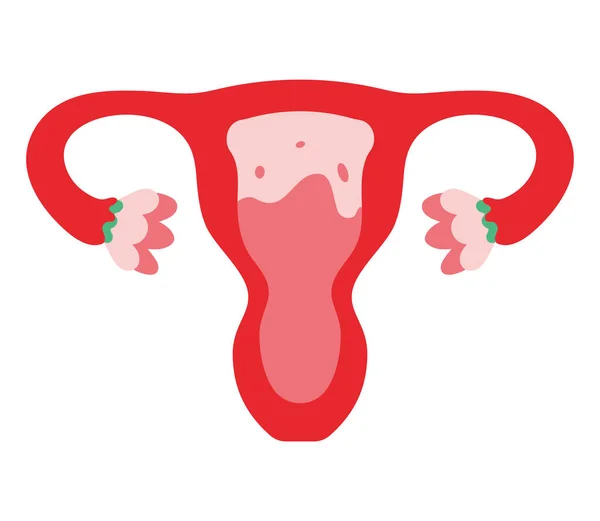 Rotes Gebärmutterdesign Über Weißem — Stockvektor