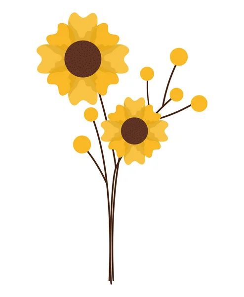 Lindas Flores Amarillas Sobre Blanco — Vector de stock