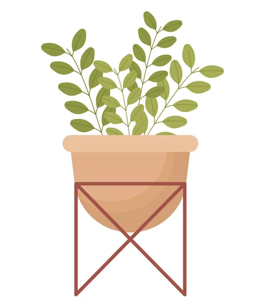 Illustration Plante Pot Sur Blanc — Image vectorielle