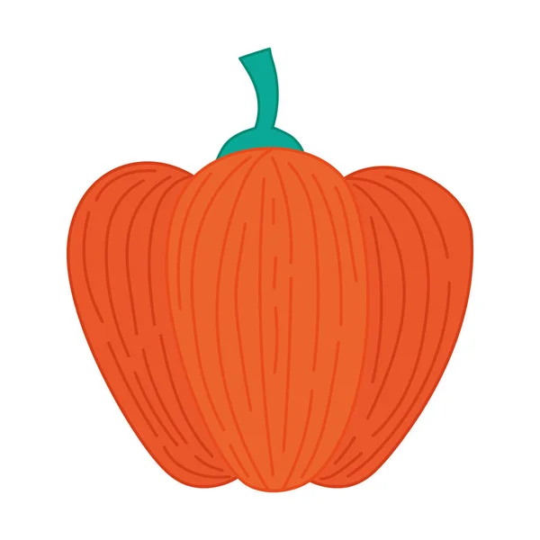 Ilustración Calabaza Naranja Sobre Blanco — Archivo Imágenes Vectoriales